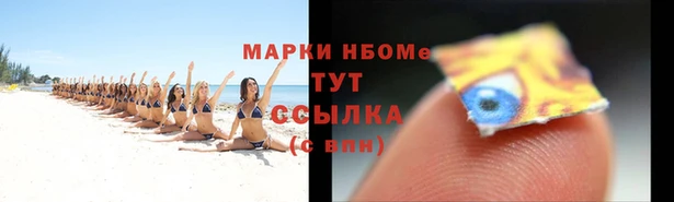 apvp Сосновоборск