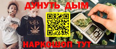 меф Гатчина