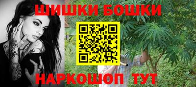 меф Гатчина