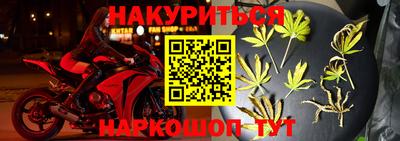 меф Гатчина