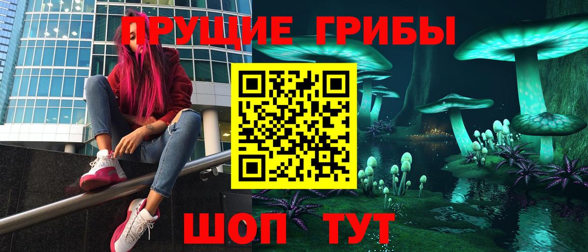 Киров  Псилоцибиновые грибы MAGIC MUSHROOMS  Вход с VPN 